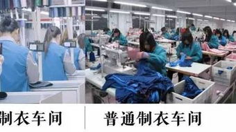 服裝行業哀鴻遍野，這家中國企業卻火遍全球
